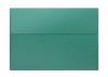 Curious Metallic ENVELOPES - A7 Envelopes - BOTANIC - 1000 PK