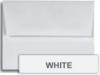 A-ENV-WHITE.jpg