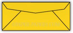 10-ENV-ShockingYellow.jpg