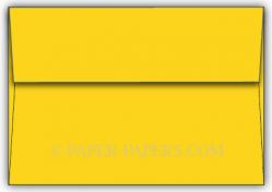 A-ENV-ShockingYellow.jpg