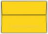 A-ENV-ShockingYellow.jpg