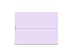 A1-ENV-Grapesicle.jpg