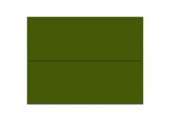 French Paper - POPTONE - A2 Envelopes - Jellybean Green - 50 PK