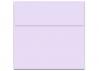 French Paper - POPTONE - 6.5 in Square Envelopes - Grapesicle - 250 PK