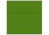 French Paper - POPTONE - 6.5 in Square Envelopes - Gumdrop Green - 250 PK