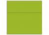 French Paper - POPTONE - 6.5 in Square Envelopes - Sour Apple - 250 PK