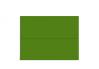 French Paper - POPTONE - A1 Envelopes - Gumdrop Green - 25 PK