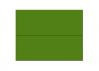 French Paper - POPTONE - A2 Envelopes - Gumdrop Green - 50 PK