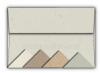 Speckletone Announcement Envelopes