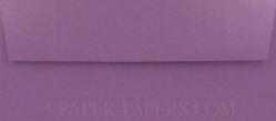Stardream Metallic - PUNCH - No. 10 ENVELOPES - 50 PK