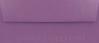 Stardream Metallic - PUNCH - No. 10 ENVELOPES - 50 PK