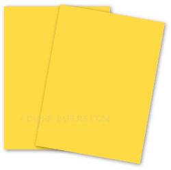 Basis-Yellow.jpg