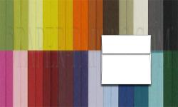 BASIS COLORS - 6.5 SQUARE Envelopes - 1000 PK