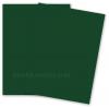 BASIS COLORS - 8.5 x 11 CARDSTOCK PAPER - Green - 80LB COVER - 100 PK