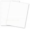 BASIS COLORS - 8.5 x 11 CARDSTOCK PAPER - Natural - 80LB COVER - 100 PK