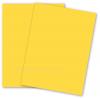 Basis-Yellow.jpg