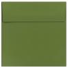 basis-olive-sq.jpg