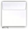 whiteSQ.jpg