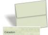 A-ENV-CELADON.jpg
