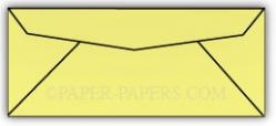 10-ENV-Yellow.jpg