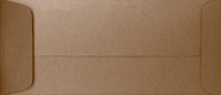 PS Shimmer Metallic - Bronze - Open End NO. 10 ENVELOPES - 100 PK