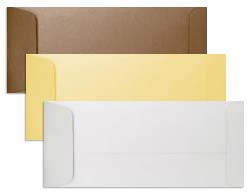 PS Shimmer Metallic - Open End NO. 10 ENVELOPES - 100 PK