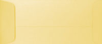 PS Shimmer Metallic - Gold - Open End NO. 10 ENVELOPES - 100 PK