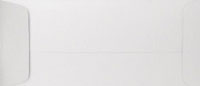 PS Shimmer Metallic - Silver - Open End NO. 10 ENVELOPES - 100 PK