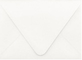 PS Shimmer Metallic - Euro Flap - A6 ENVELOPES - QUARTZ - 200 PK