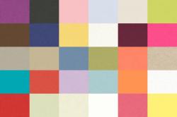 PS Collection - 8.5 x 11 Cardstock - Sampler Pack