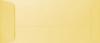 PS Shimmer Metallic - Gold - Open End NO. 10 ENVELOPES - 100 PK