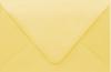 PS Shimmer Metallic - Euro Flap - A9 ENVELOPES - GOLD - 200 PK