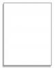 1 UP Full-Sheet Shipping Labels - Avery� 5165 Compatible -  1000 Sheets / 1 Labels per Sheet