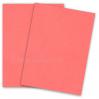 Crane-Palette-Coral.jpg