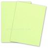 Crane-Palette-Limon.jpg