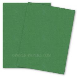 Curious Metallic - BOTANIC Card Stock - 111lb Cover - 27 x 39