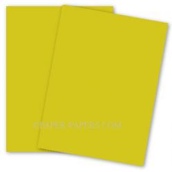Curious SKIN - Absynthe - 8.5 x 11 Card Stock Paper - 100lb Cover - 25 PK