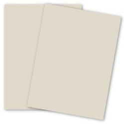 Curious SKIN - Grey - (27 x 39) Card Stock Paper - 100lb Cover - 100 PK