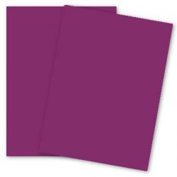 Curious SKIN - Purple - (27 x 39) Card Stock Paper - 100lb Cover - 100 PK