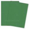 Curious Metallic - BOTANIC Card Stock - 111lb Cover - 27 x 39
