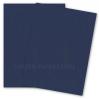 Curious Metallic - INK Card Stock - 111lb Cover - 27 x 39