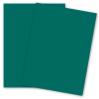 Curious SKIN - Emerald - (27 x 39) Card Stock Paper - 100lb Cover - 100 PK
