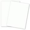 Curious SKIN - Extra White - (27 x 39) Card Stock Paper - 100lb Cover - 100 PK