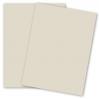 Curious SKIN - Grey - (27 x 39) Card Stock Paper - 100lb Cover - 100 PK