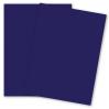 Curious SKIN - Indigo - (27 x 39) Card Stock Paper - 100lb Cover - 100 PK