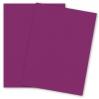 Curious SKIN - Purple - (27 x 39) Card Stock Paper - 100lb Cover - 100 PK