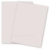 Curious SKIN - Stone - 8.5 x 11 Card Stock Paper - 100lb Cover - 25 PK