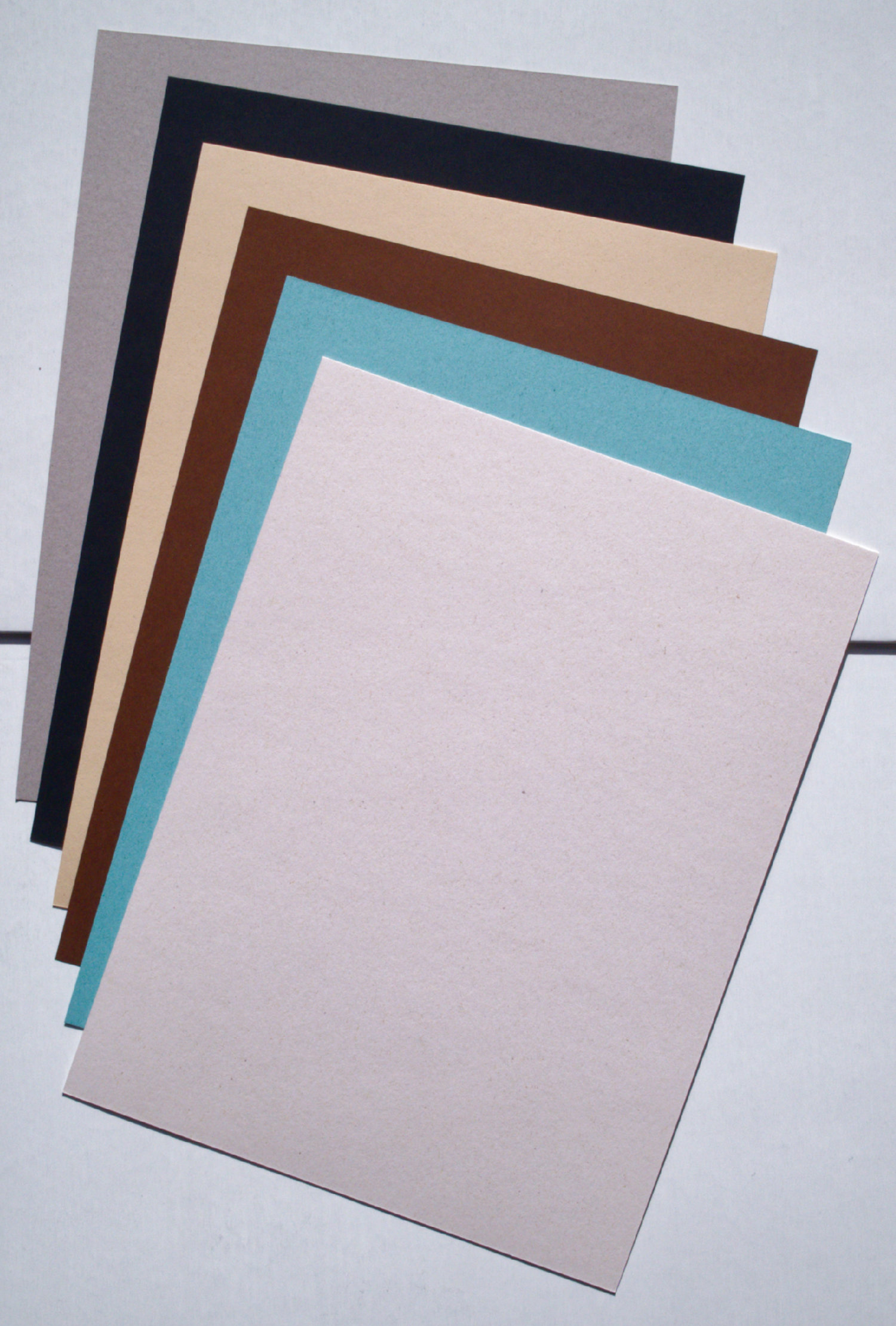 Economic importance of oyster image