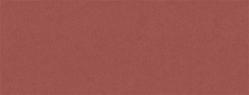 French Paper - CONSTRUCTION - Brick Red - 25 x 38 - 28/70lb TEXT - 1000 PK