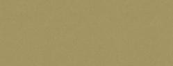 French Paper - CONSTRUCTION - Factory Green - 26 x 40 - 100lb Cover - 400 PK